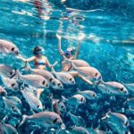 Kamiros Skala: Marine Life Experience by Boat - The Itinerary Breakdown