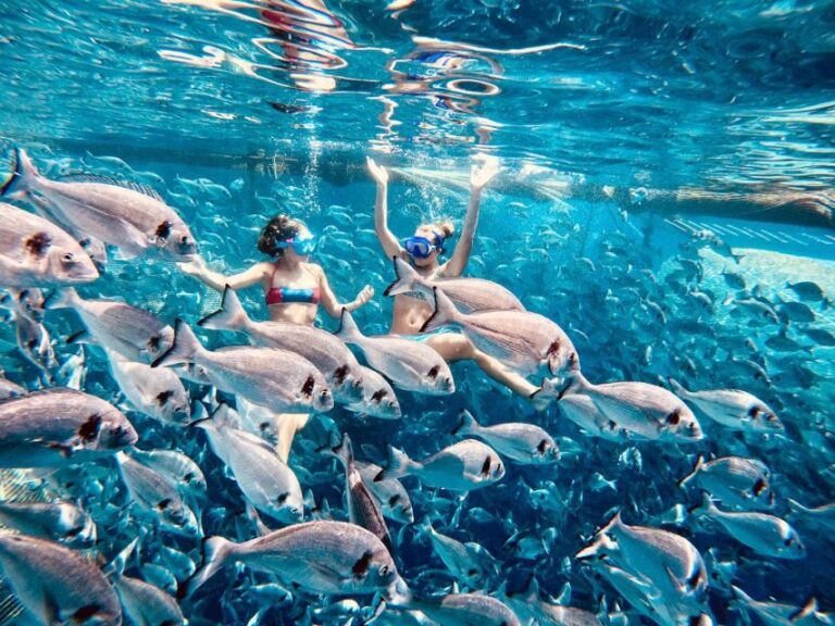 Kamiros Skala: Marine Life Experience by Boat - The Itinerary Breakdown