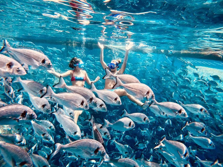 Kamiros Skala: Marine Life Experience by Boat - The Itinerary Breakdown