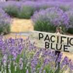 Kangaroo Island 3 Day All Inclusive Tour - Final Thoughts