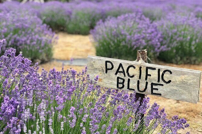 Kangaroo Island 3 Day All Inclusive Tour - Final Thoughts