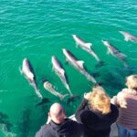 Kangaroo Island 75-Minute Coastal Safari - In-Depth Look at the Coastal Safari Experience