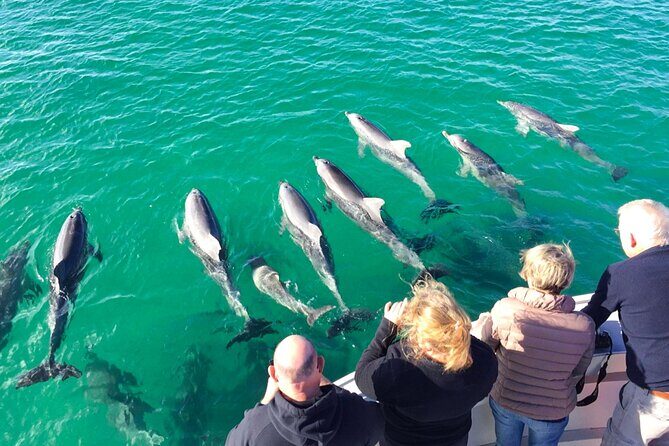 Kangaroo Island 75-Minute Coastal Safari - In-Depth Look at the Coastal Safari Experience