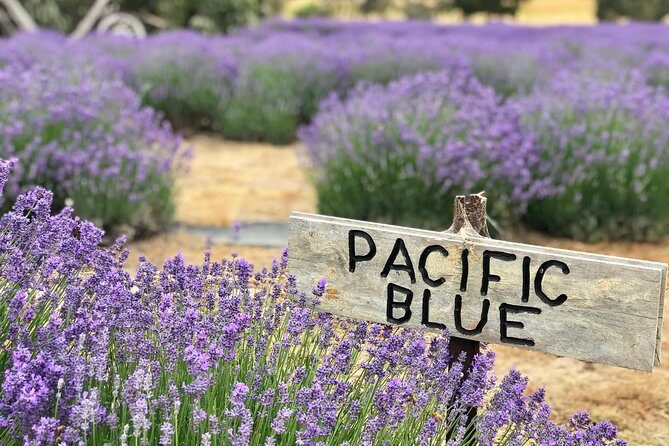 Kangaroo Island - Full Day Tasting Tour - Who Will Love This Tour?