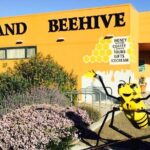 Kangaroo Island Half-Day Tour - Practical Considerations and Tips