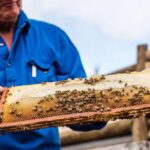 Kangaroo Island: Half-Day Tour Guided Coach Tour - Who is This Tour Best For?
