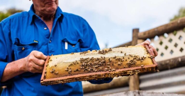 Kangaroo Island: Half-Day Tour Guided Coach Tour - Who is This Tour Best For?