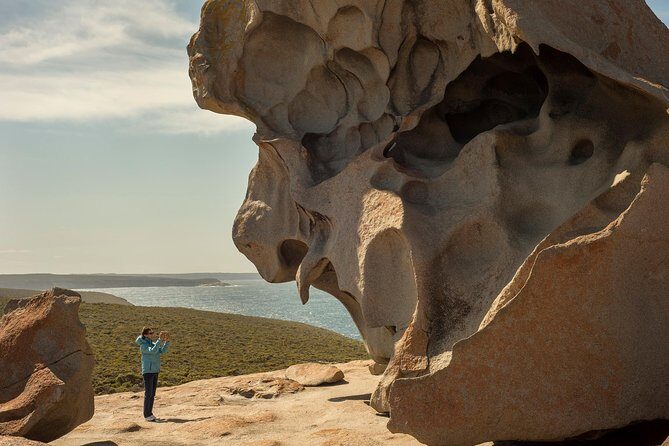 Kangaroo Island in a Day Tour from Adelaide - Price and Value