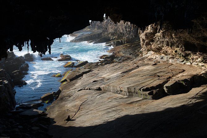 Kangaroo Island Luxury Small Group 'Flinders Chase Focus' Full Day Tour - FAQ