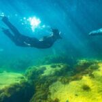 Kangaroo Island - Swim with Dolphins/Seals/Coastal Snorkel - Final thoughts