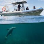 Kangaroo Island Ultimate Adventure Tour departing Kingscote - The Value Equation: Is It Worth It?