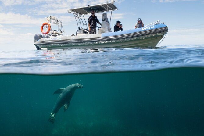 Kangaroo Island Ultimate Adventure Tour departing Kingscote - The Value Equation: Is It Worth It?