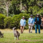 Kangaroos and Koala Experience Tour - Who Should Consider This Tour?