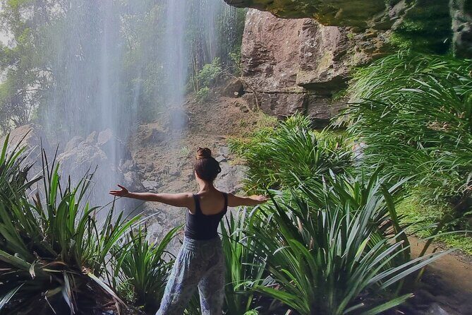 Kangaroos, Rainforest & Waterfalls Experience - Small Group - The Experience of a Small Group Guided Tour