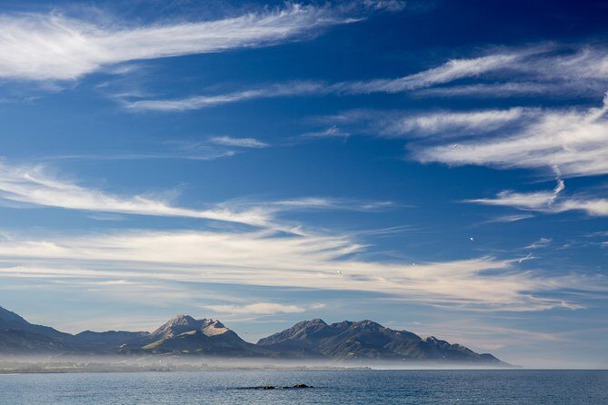 Kapiti Coast and Foxton Area Beaches Day Tour - Frequently Asked Questions
