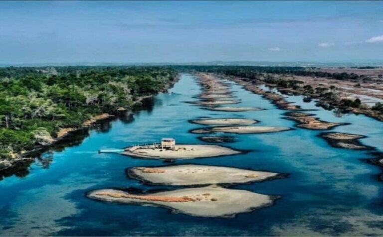 Karavasta:Bird Watching, Tower Views & Lagoon Exploration - Who Will Love This Tour?