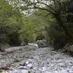Kardamili : Hiking in Ridomo gorge - Why This Tour Stands Out