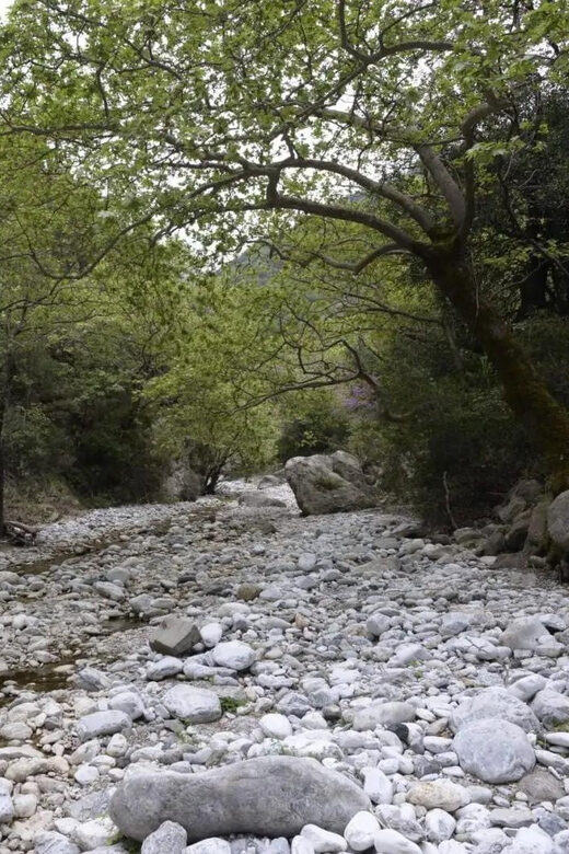 Kardamili : Hiking in Ridomo gorge - Why This Tour Stands Out
