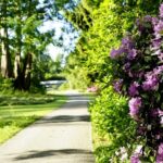 Kassel: Ready for the island?! Karlsaue and Siebenbergen in the scent of spring - Who Is This Tour Best For?