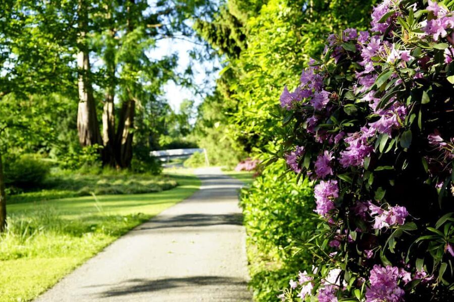 Kassel: Ready for the island?! Karlsaue and Siebenbergen in the scent of spring - Who Is This Tour Best For?