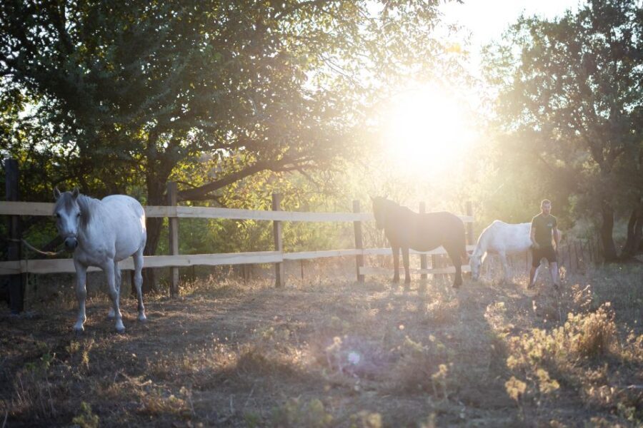 Kastraki: Meteora Sunset Horseback Riding - The Sum Up