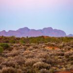 Kata Tjuta: Valley of the Winds Circuit Hike - What to Expect During the Hike