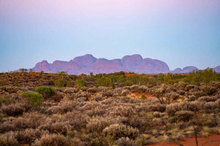 Kata Tjuta: Valley of the Winds Circuit Hike - What to Expect During the Hike