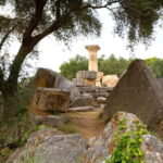 Katakolo: Olympia Tour and Archeological Museum - The Practicalities of the Olympia Tour