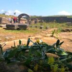 Katakolon Shore Excursion: Olympic site, Honey/Olive Oil Tasting - Who Should Consider This Tour?