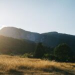 Katerini: Mount Olympus and Dion Minibus Tour - An In-Depth Look at the Mount Olympus and Dion Minibus Tour
