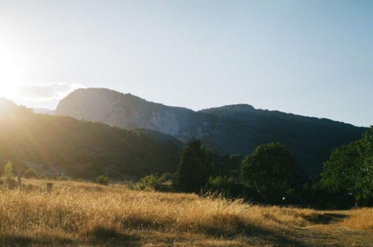 Katerini: Mount Olympus and Dion Minibus Tour - An In-Depth Look at the Mount Olympus and Dion Minibus Tour