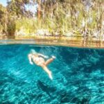 Katherine Gorge - Mataranka - Edith Falls - Adelaide River - A Deep Dive into the Northern Territorys Best Day Tour
