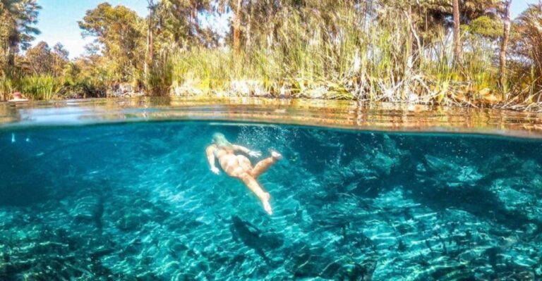 Katherine Gorge - Mataranka - Edith Falls - Adelaide River - A Deep Dive into the Northern Territorys Best Day Tour