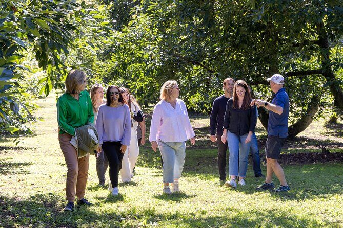 Katikati Gourmet Avocado Tasting - Why We Think This Tour Is Worth Considering