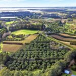 Katikati: Guided Avocado Adventures with Tasty Treats - Practical Details: Timing, Price, and Tips