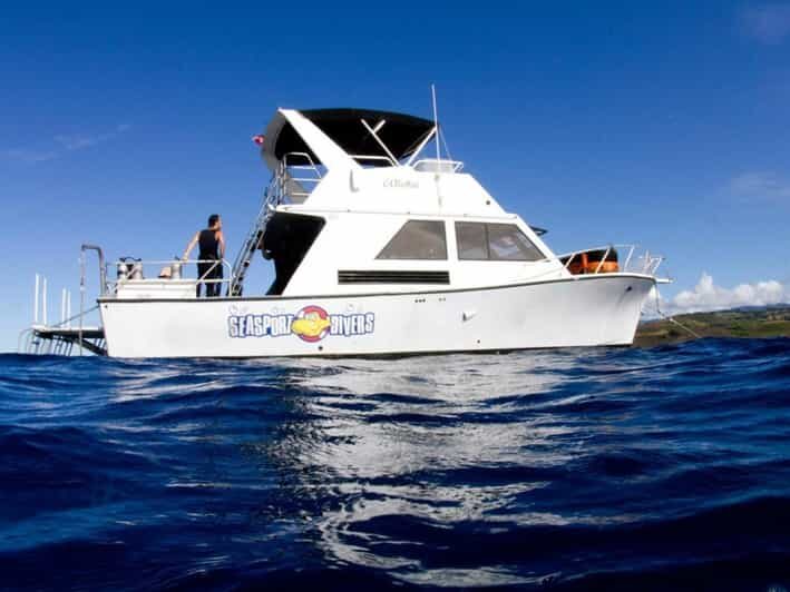 Kauai: 2 Tank Afternoon Dive - What to Expect During the Tour