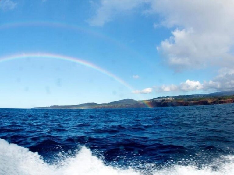 Kauai: 3-Tank Boat Dive for Certified Divers - Authentic Insights from Other Travelers
