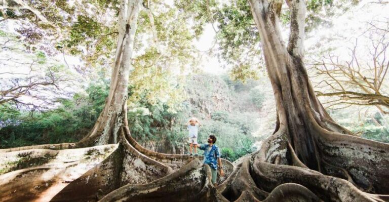 Kauai: Allerton Garden Guided Group Walking Tour - An In-Depth Look at the Allerton Garden Tour