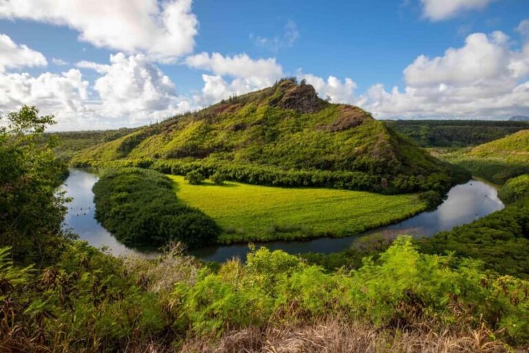 Kauai East Side and North Shore: Waterfalls & Beaches Tour - The Sum Up