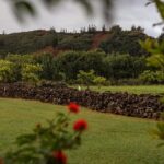 Kauai East Side SHARED Adventute - A Thorough Look at the Experience