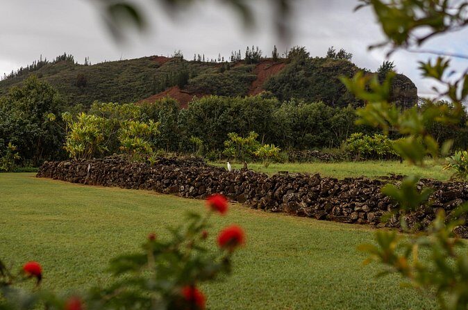 Kauai East Side SHARED Adventute - A Thorough Look at the Experience