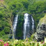 Kauai Eastside & Waterfalls-Shared Small Group Tour - Who Will Appreciate This Tour?