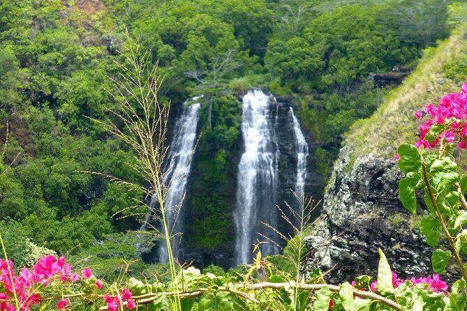 Kauai Eastside & Waterfalls-Shared Small Group Tour - Who Will Appreciate This Tour?
