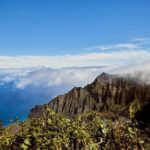 Kauai Full Day Tour with Cruise ships or Kauai Airport Pickup - Authentic Traveler Perspectives