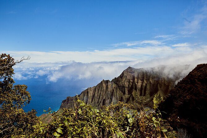 Kauai Full Day Tour with Cruise ships or Kauai Airport Pickup - Authentic Traveler Perspectives