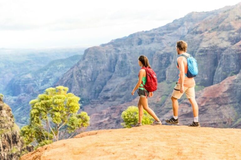 Kauai: Full-Day Waimea Canyon & Wailua River Tour - What the Tour Includes and What to Expect