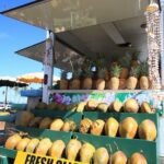 Kauai: Hawaii Movie Tour - Why Choose the Kauai: Hawaii Movie Tour?