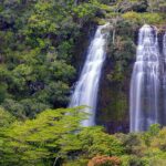 Kauai: Highlights & Movie Sites - Who Should Consider This Tour?
