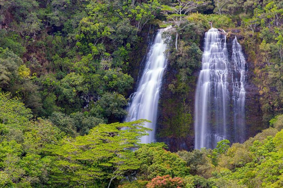 Kauai: Highlights & Movie Sites - Who Should Consider This Tour?