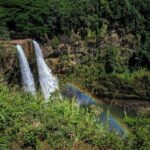 Kauai Island Private Guided Tour-Waimea Canyon from Princeville - Final Thoughts